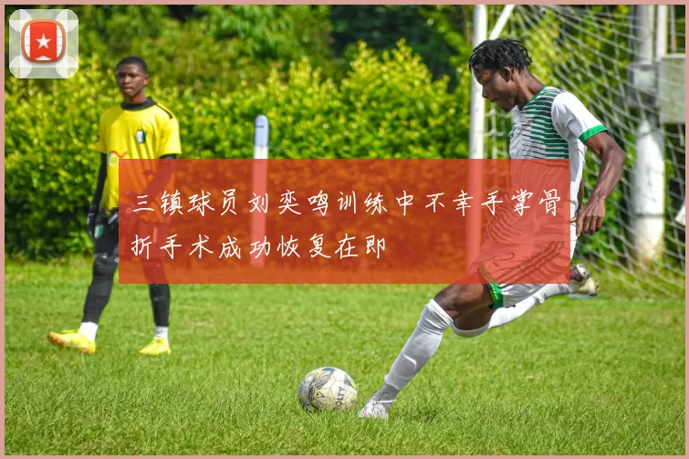 三镇球员刘奕鸣训练中不幸手掌骨折手术成功恢复在即